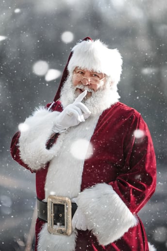Gallery photo 4 of Santa & Mrs. Claus of the Twin Cities