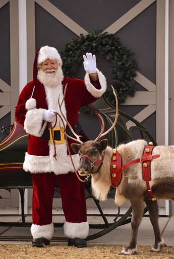 Gallery photo 42 of Santa & Mrs. Claus of the Twin Cities