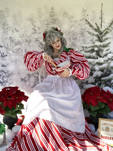Gallery photo 2 of Mrs. Carol Claus