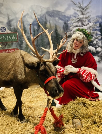 Gallery photo 6 of Mrs. Carol Claus