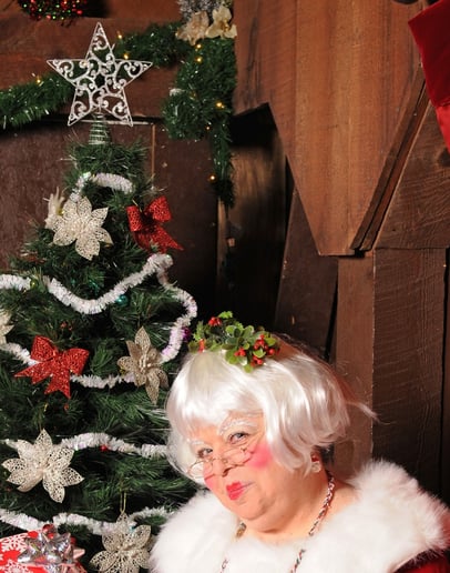 Gallery photo 3 of Mrs. Claus