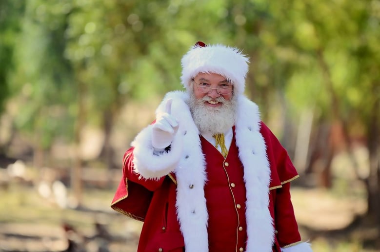Gallery photo 4 of Mrs Claus