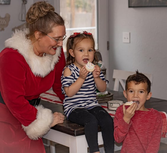 Gallery photo 2 of Mrs. Claus for Hire