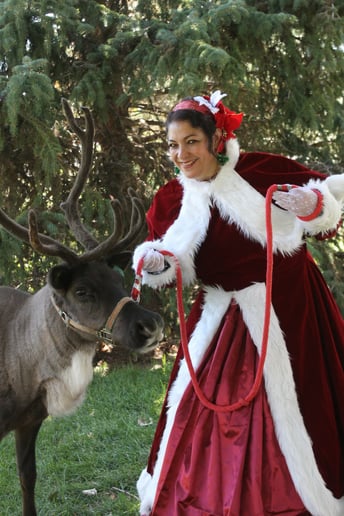 Gallery photo 4 of Mrs. Claus Giggles
