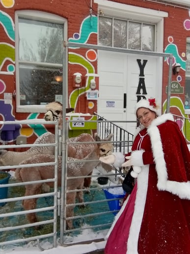 Gallery photo 8 of Mrs. Claus Giggles