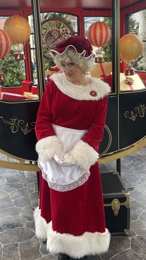 Gallery photo 10 of Mrs. Shannyn Claus