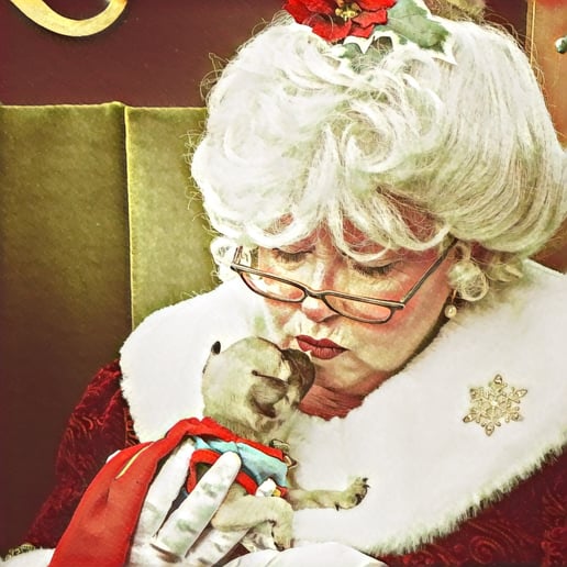 Gallery photo 6 of Mrs. Claus of the OC