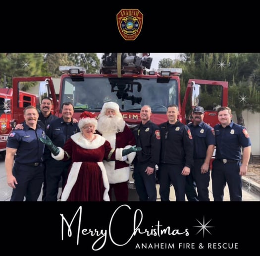 Gallery photo 9 of Mrs. Claus of the OC
