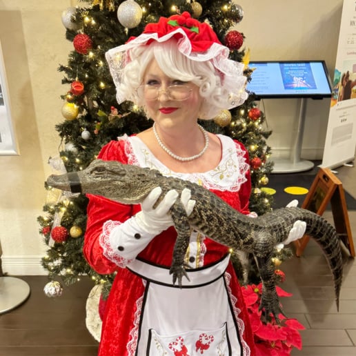 Gallery photo 6 of Mrs Claus Orlando