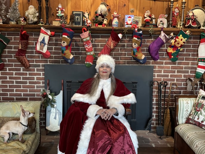 Gallery photo 11 of Mrs Claus Services