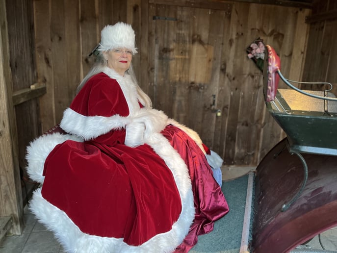 Gallery photo 6 of Mrs Claus Services