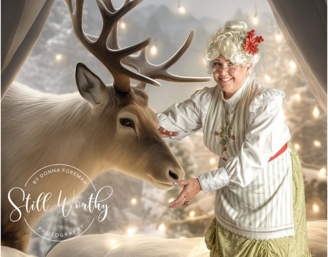 Gallery photo 8 of Mrs. Claus Vintage