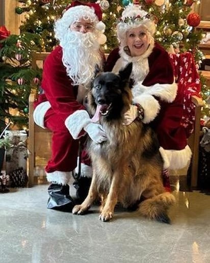 Gallery photo 16 of Mrs. Kitty Christmas Claus