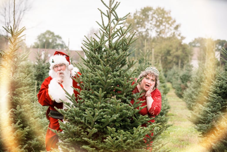 Gallery photo 8 of Mrs. Santa