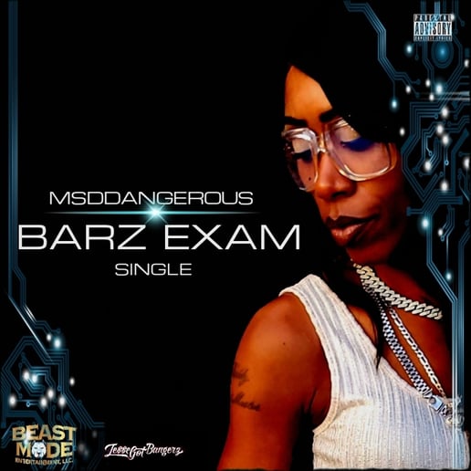 Gallery photo 8 of MsDDangerous