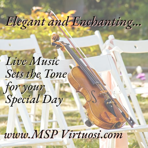 Gallery photo 4 of MSP Virtuosi