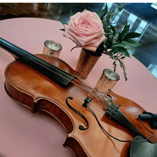Gallery photo 9 of MSP Virtuosi