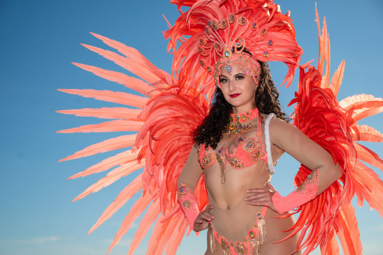 Gallery photo 10 of Multicultural Dance Entertainment