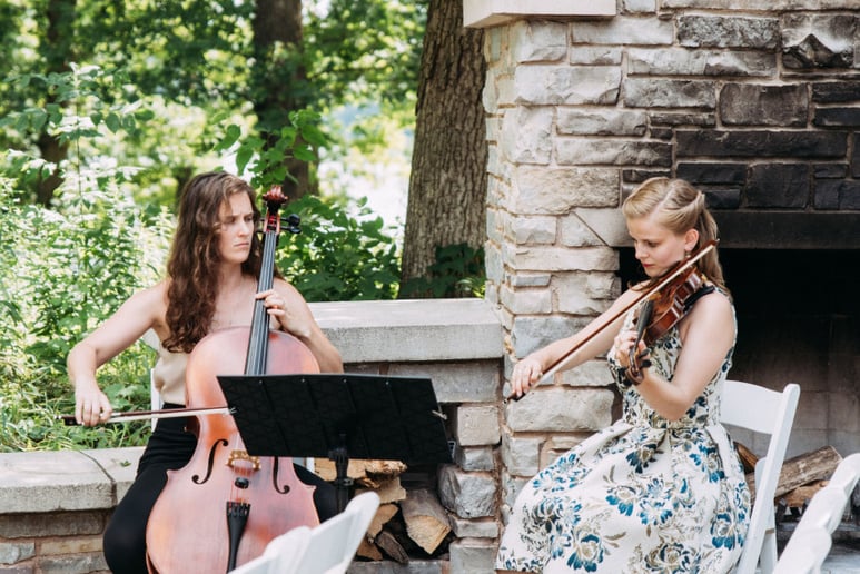 Gallery photo 3 of Multistyle Violinist and Fiddler