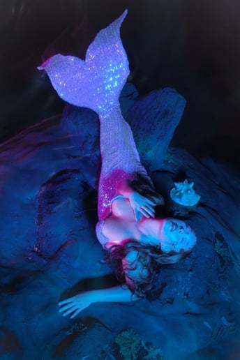 Gallery photo 2 of Muse the Mermaid