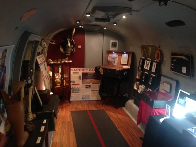 Gallery photo 2 of Museum of Curious Things