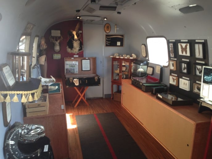 Gallery photo 5 of Museum of Curious Things