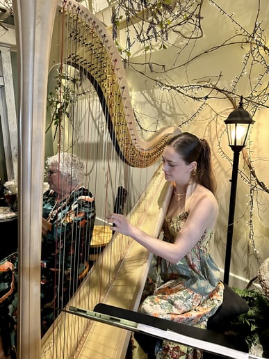 Gallery photo 5 of Music By Lyndsey