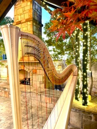 Gallery photo 6 of Music By Lyndsey