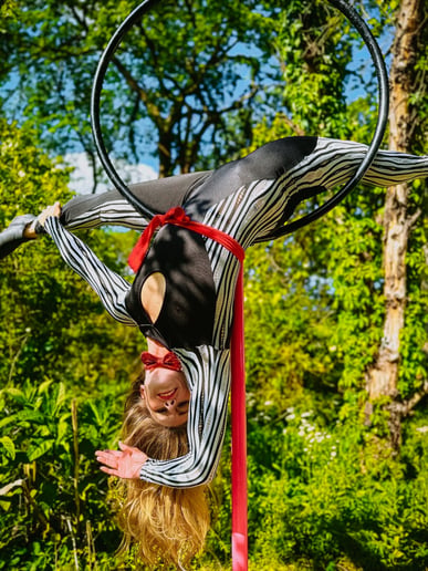 Gallery photo 9 of Music City Cirque