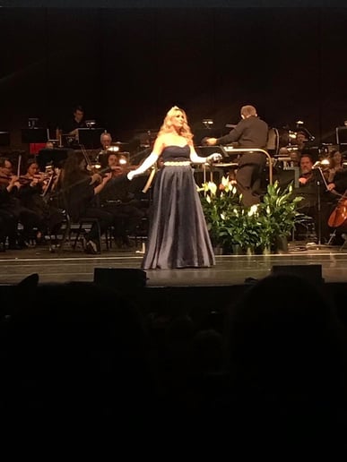 Gallery photo 2 of Music Theater / Opera / Classical/ Singer