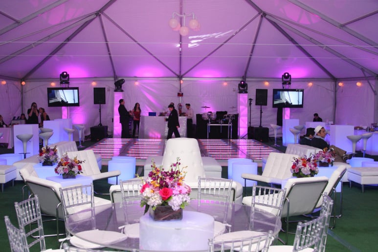 Gallery photo 6 of Musica Entertainment