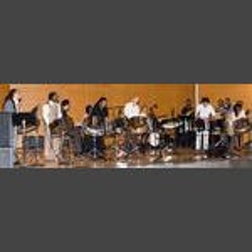 Gallery photo 25 of Steel Drum Vibes by Mustafa Alexander
