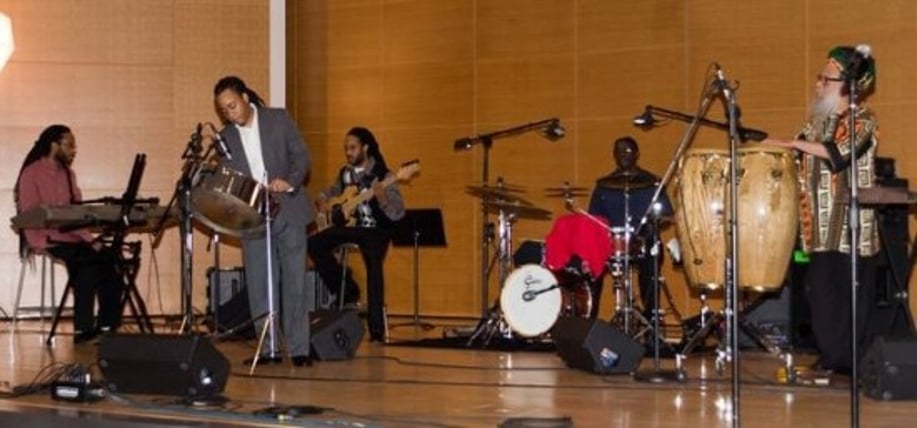 Gallery photo 24 of Steel Drum Vibes by Mustafa Alexander