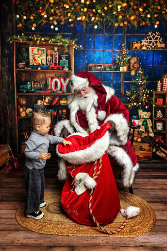 Gallery photo 3 of My Favorite Santa