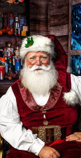 Gallery photo 5 of My Favorite Santa