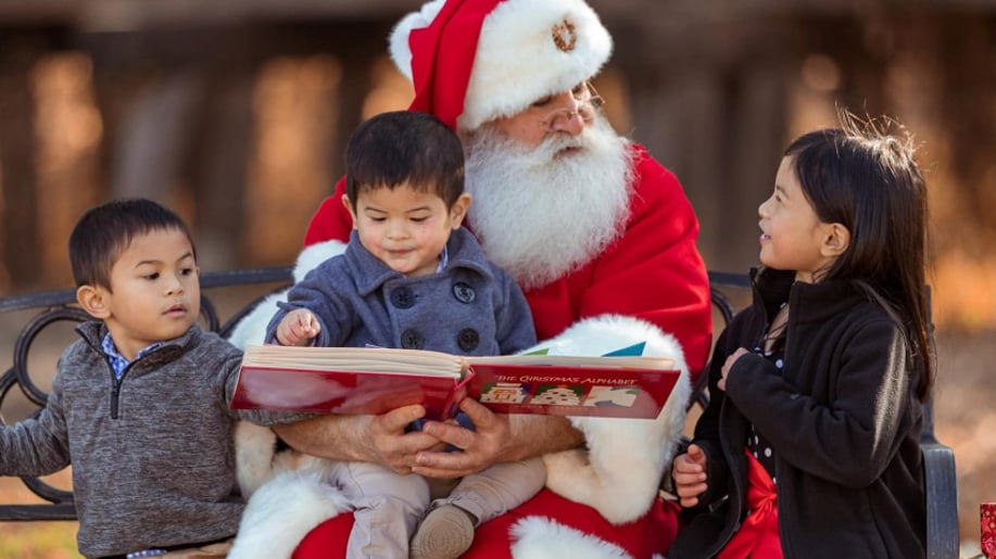 Gallery photo 3 of My Santa Guy
