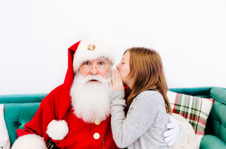 Gallery photo 5 of My Santa Guy