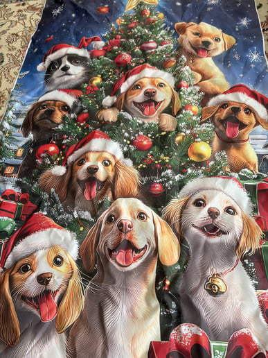 Gallery photo 7 of My Santa Visits