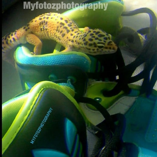 Gallery photo 3 of Myfotozphotography