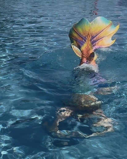 Gallery photo 5 of Mystic Mermaid