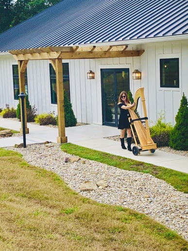 Gallery photo 2 of Mystical Harp