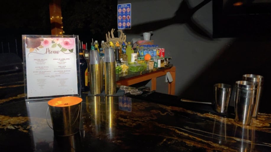 Gallery photo 3 of Myxer Mobile Bartending