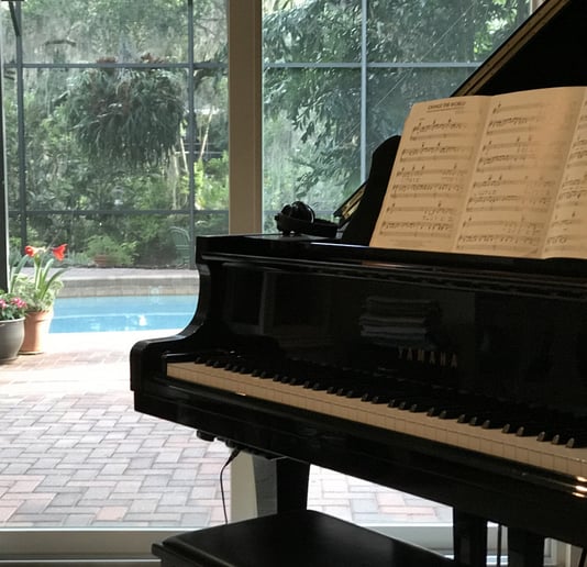 Gallery photo 1 of Nache on Piano