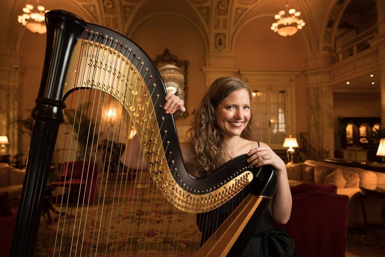 Gallery photo 3 of Nashville Harp