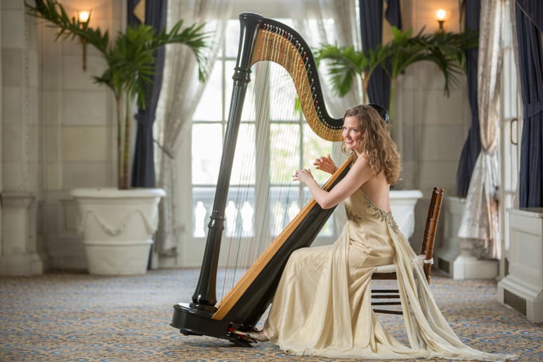 Gallery photo 4 of Nashville Harp