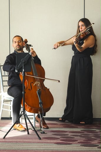 Gallery photo 1 of Nassour Strings