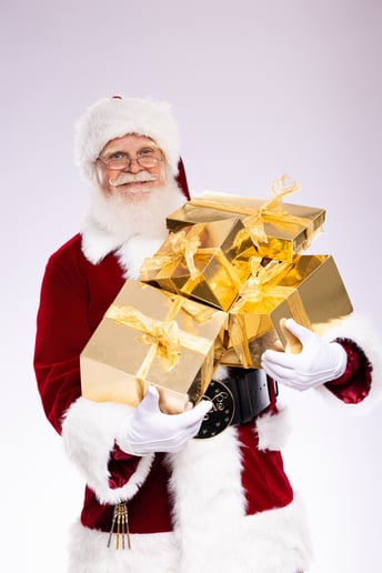 Gallery photo 2 of National Santa Agency