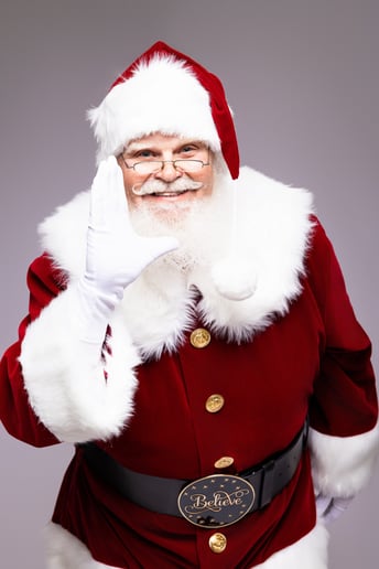 Gallery photo 1 of National Santa Agency