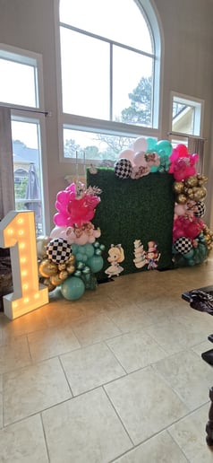 Gallery photo 6 of Nattyballoons