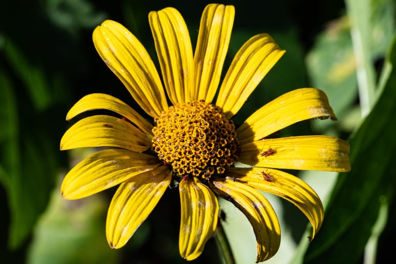 Gallery photo 2 of Nature's Perspective Photography